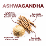 Clean Organics Ashwagandha Gummies with KSM-66® for stress relief and sleep support, featuring soft, berry-flavored gummies.