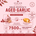 04 High Potency